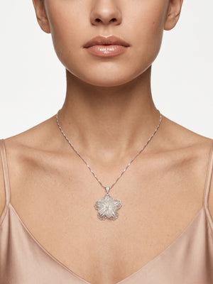 Color_Silver