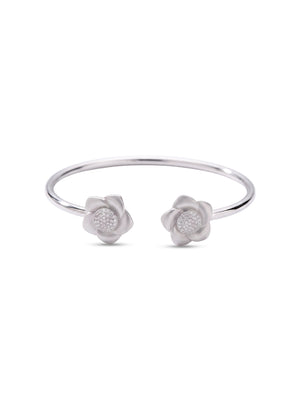 Color_Silver