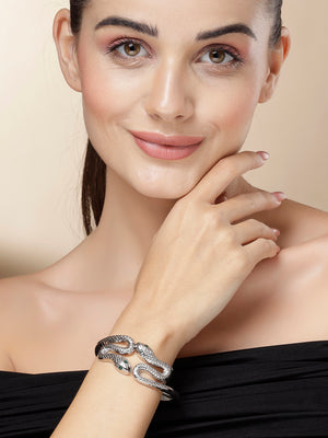 Color_Silver