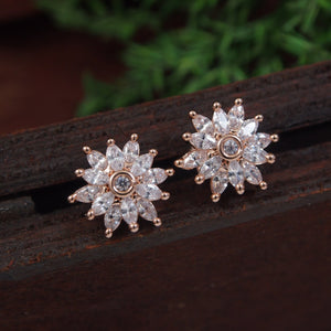 Color_Rose Gold