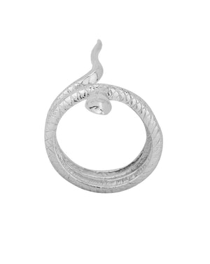 Color_Silver