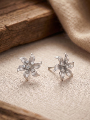 Color_Silver 
