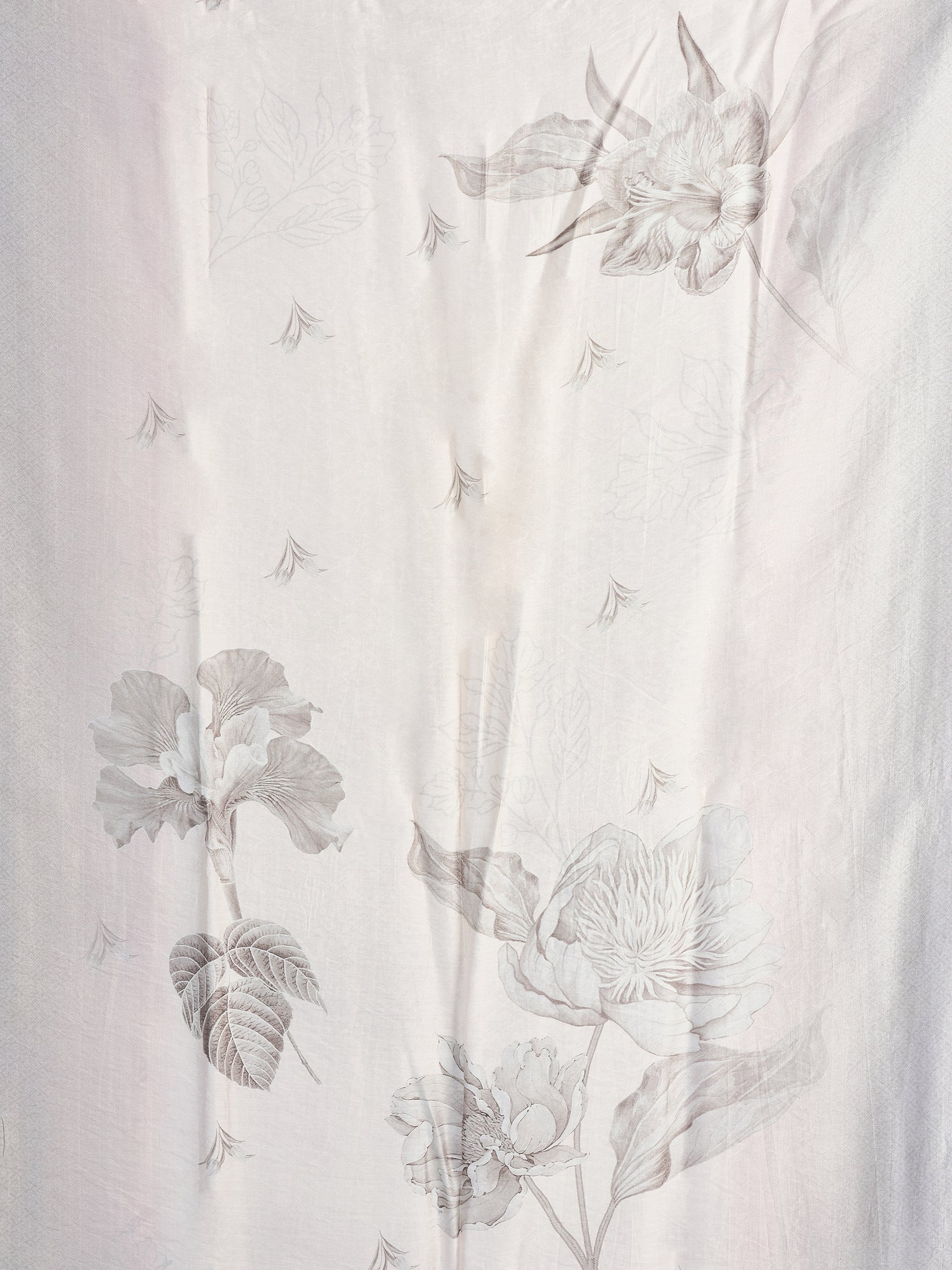Color_Cream
