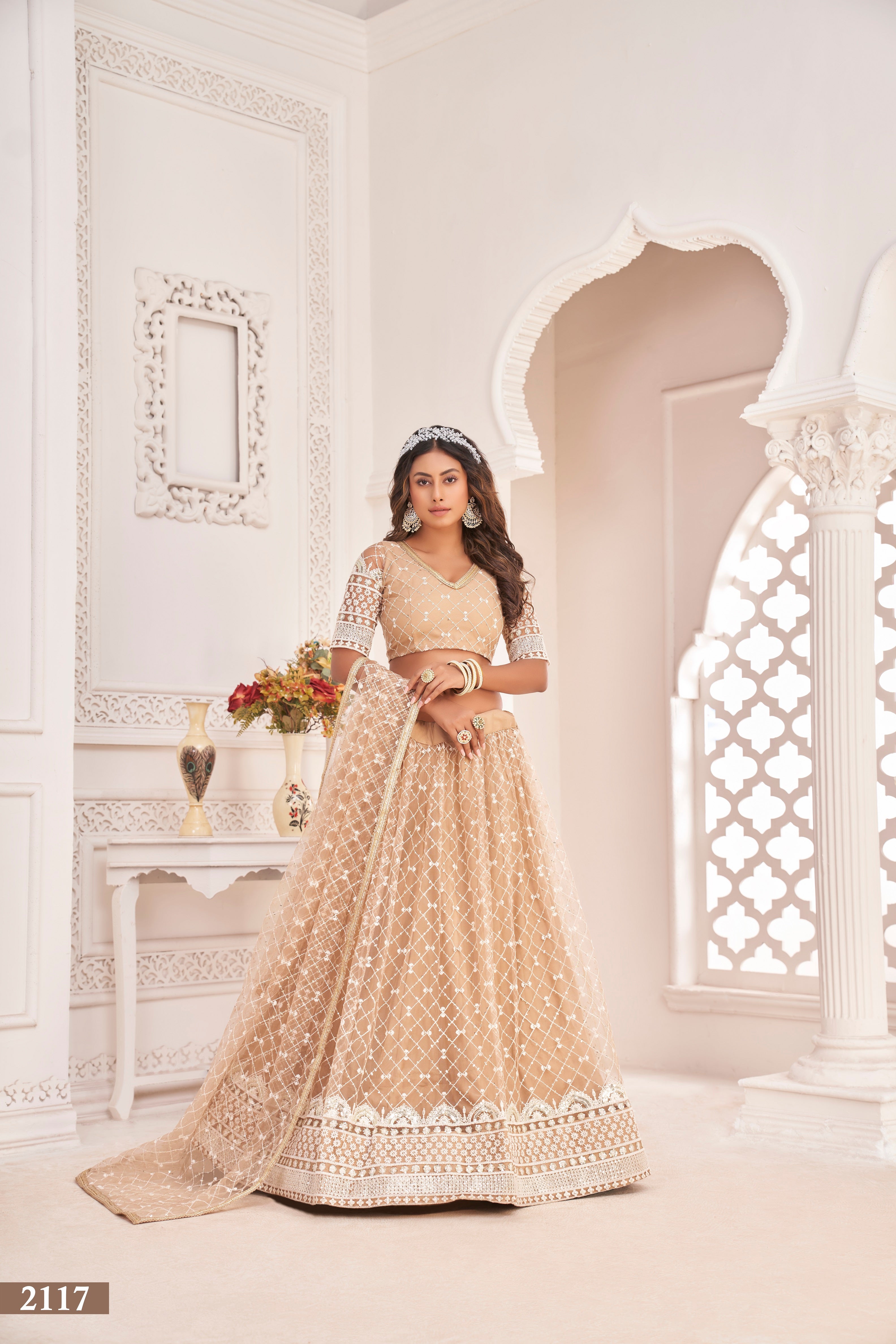 Women's Dusty Chiku Net Thread Embroidery Lehenga Set - Eilara