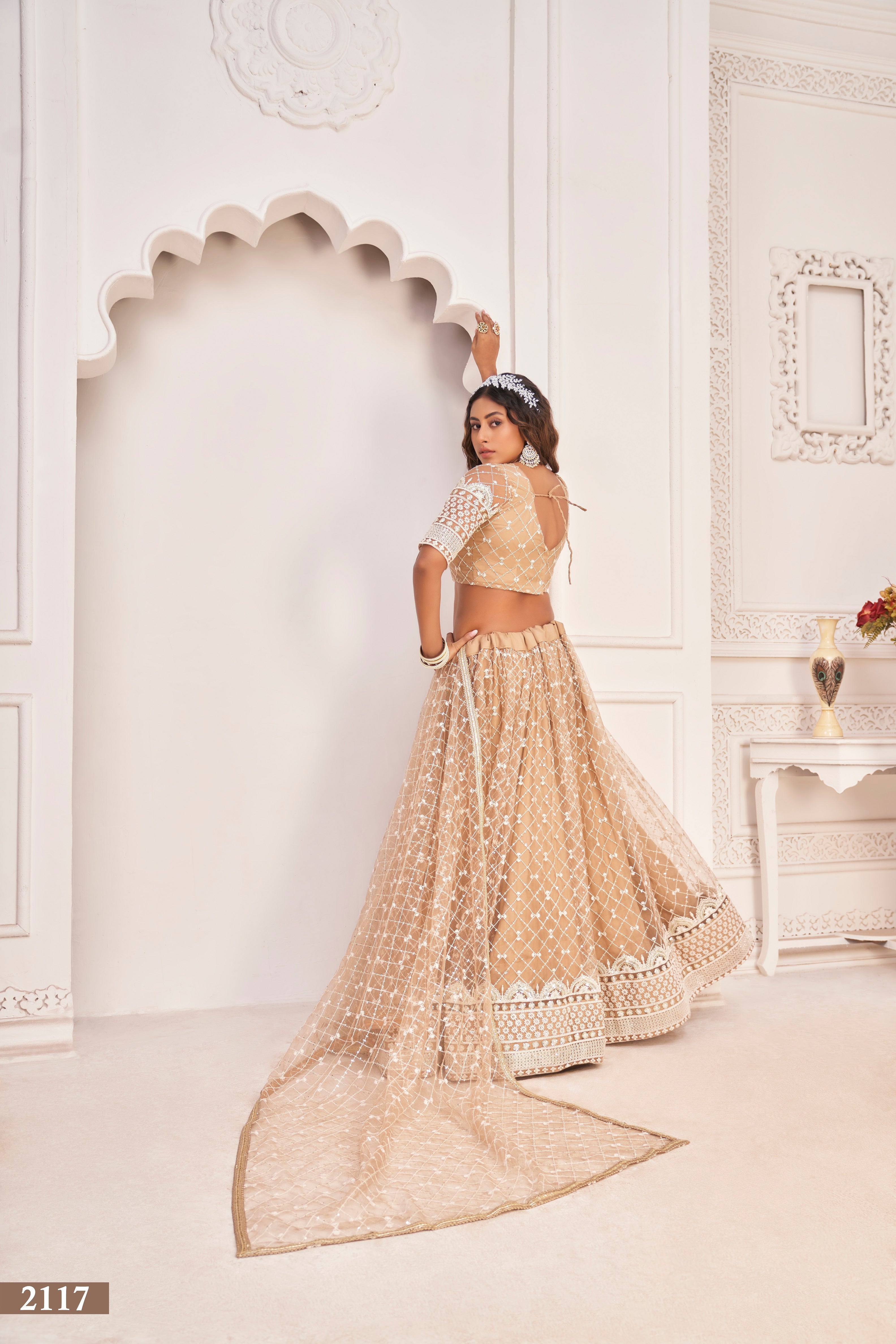 Women's Dusty Chiku Net Thread Embroidery Lehenga Set - Eilara