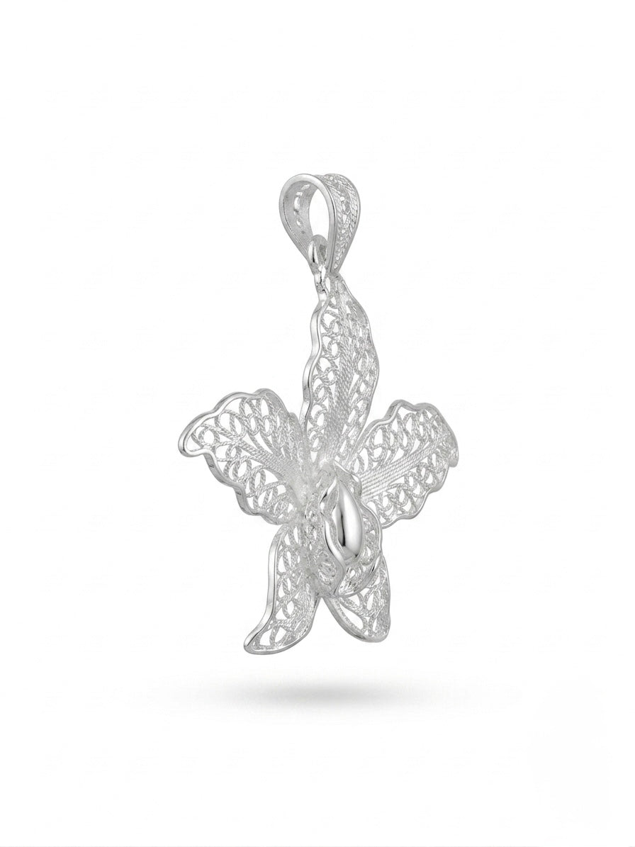 Color_Silver 