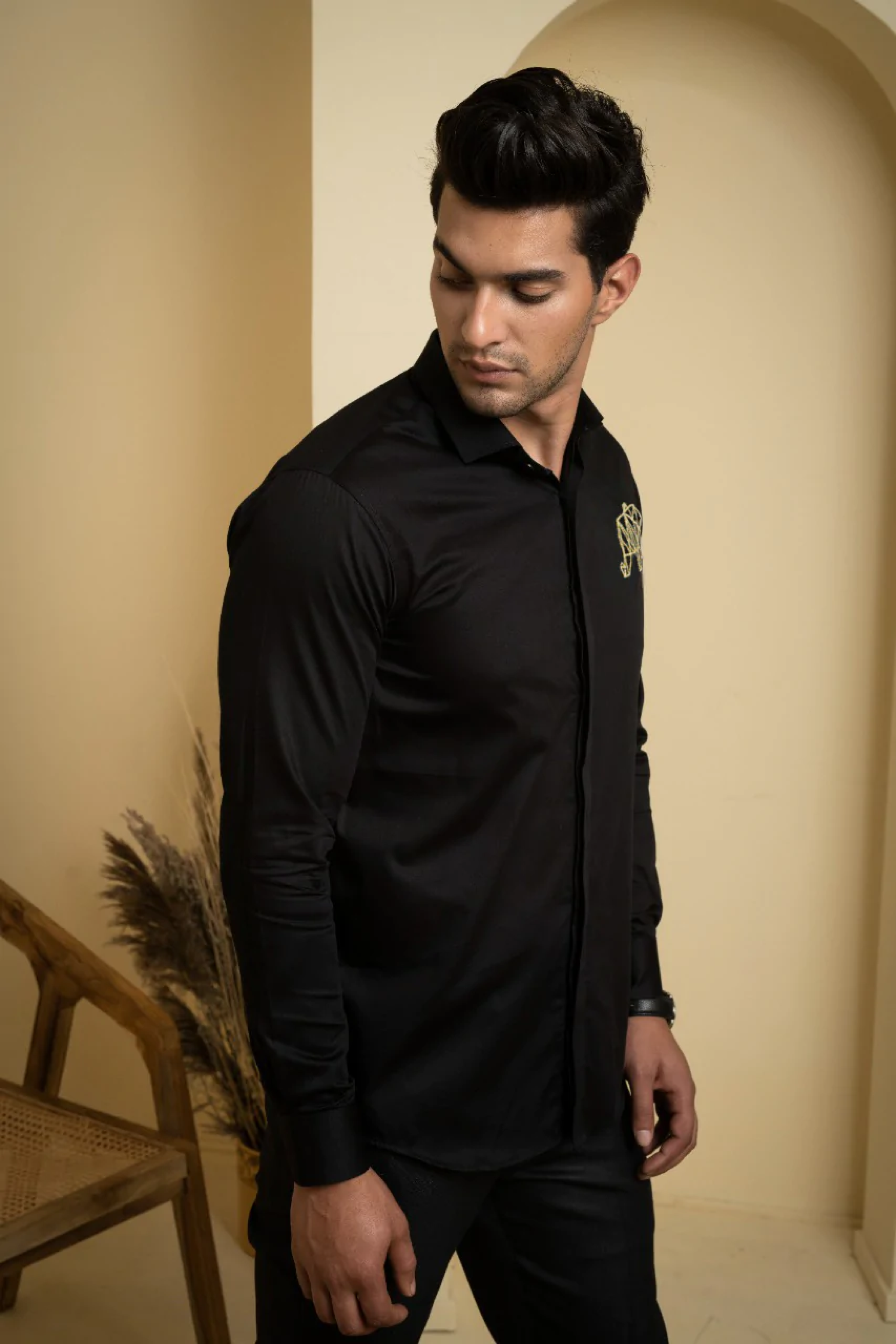 Men's Black Color Perto Elephant Shirt Full Sleeves Casual Shirt - Hilo Design