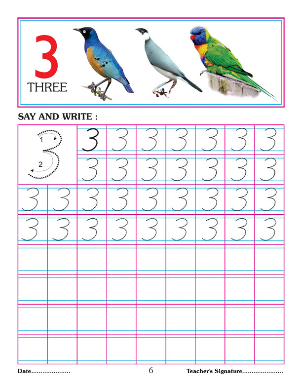Color_Multi Color