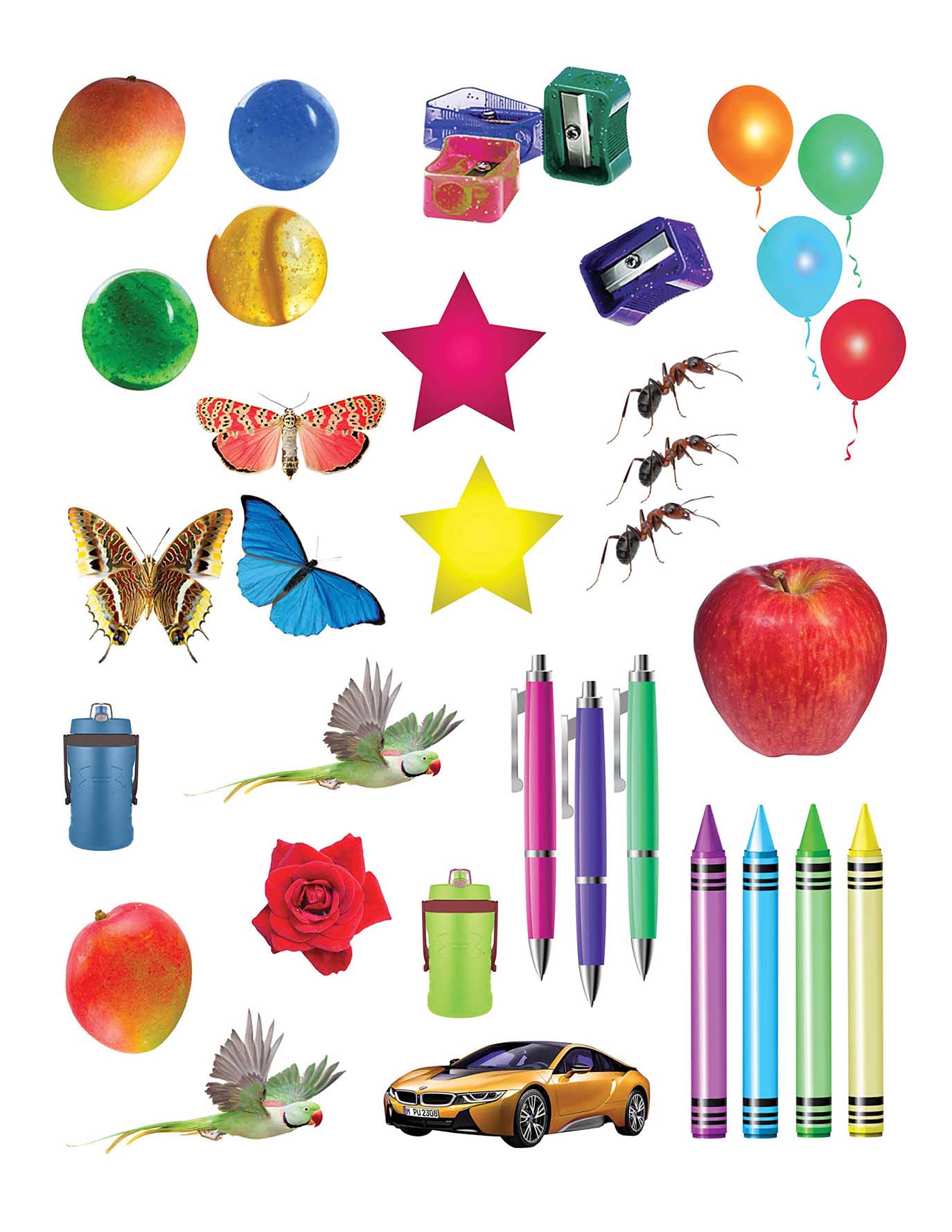 Color_Multi Color