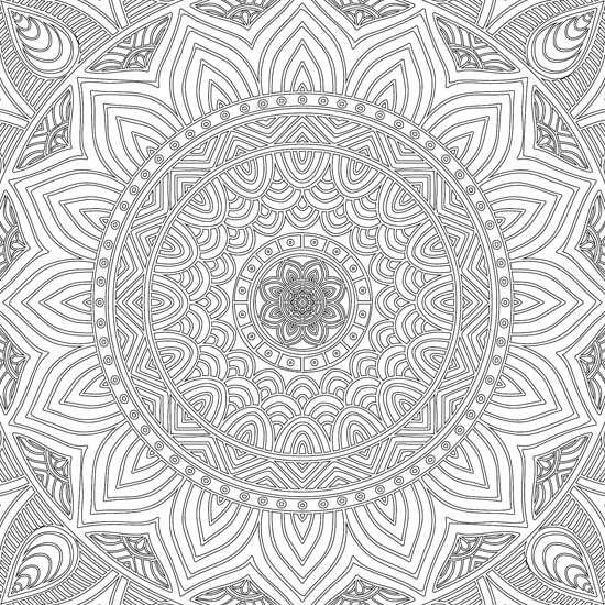 Color_Multi Color