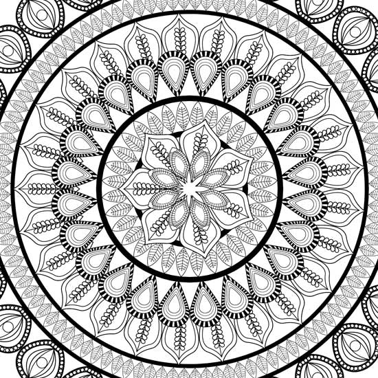 Color_Multi Color