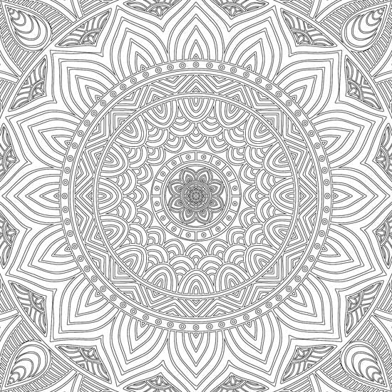 Color_Multi Color