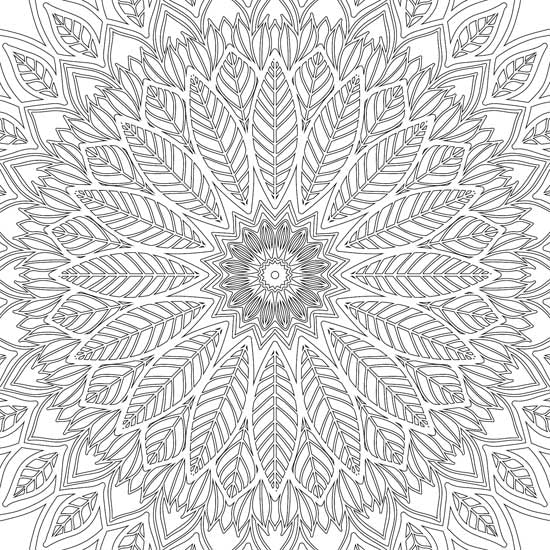 Color_Multi Color