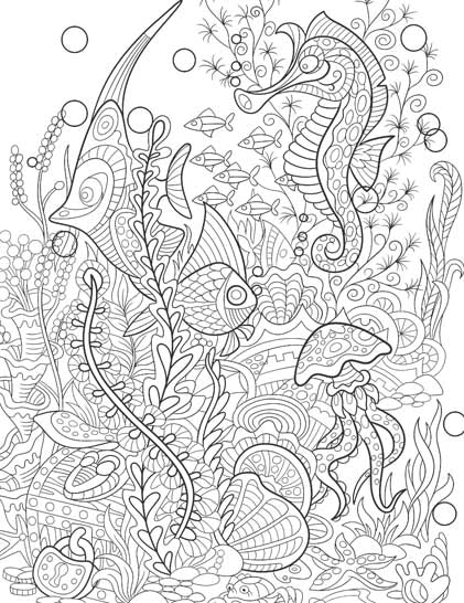 Color_Multi Color