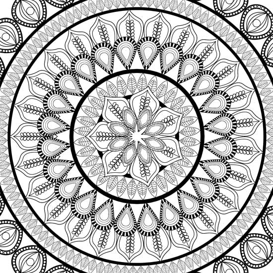 Color_Multi Color