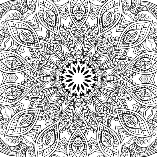 Color_Multi Color