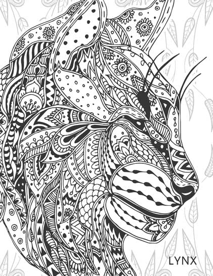 Color_Multi Color