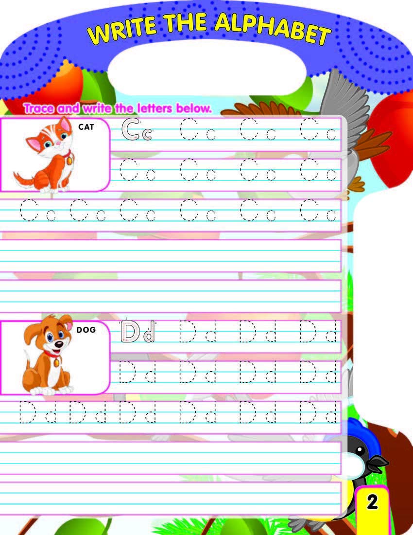 Color_Multi Color