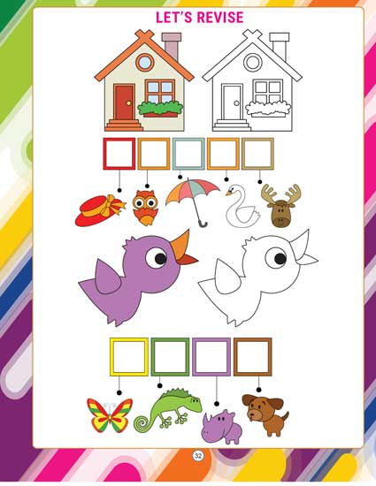 Color_Multi Color
