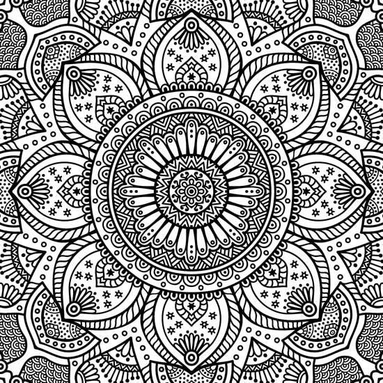 Color_Multi Color