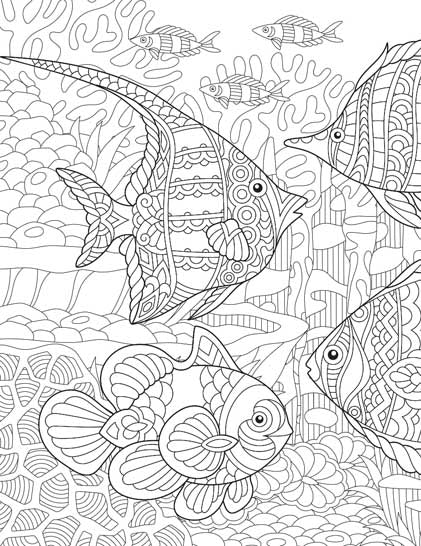 Color_Multi Color