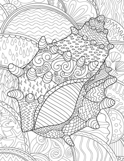 Color_Multi Color