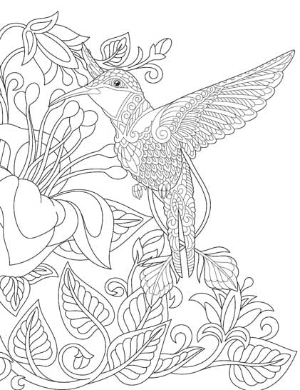 Color_Multi Color