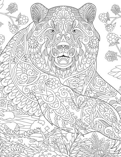 Color_Multi Color