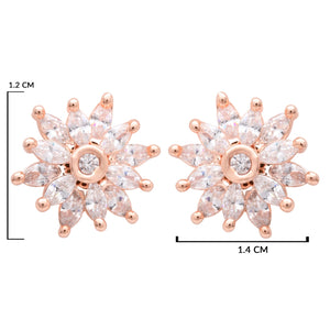 Color_Rose Gold