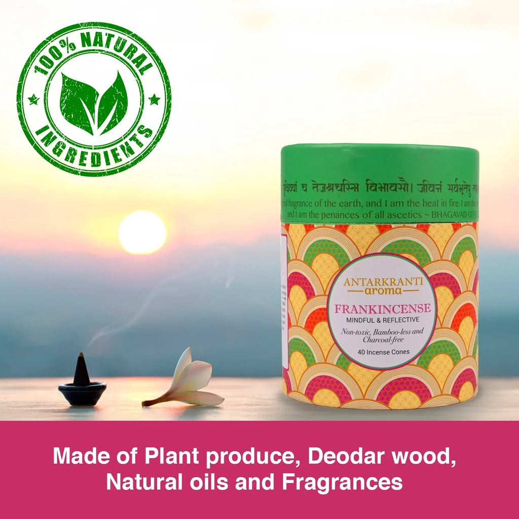 Sacred Life Yoga Incense Cone Franckincense