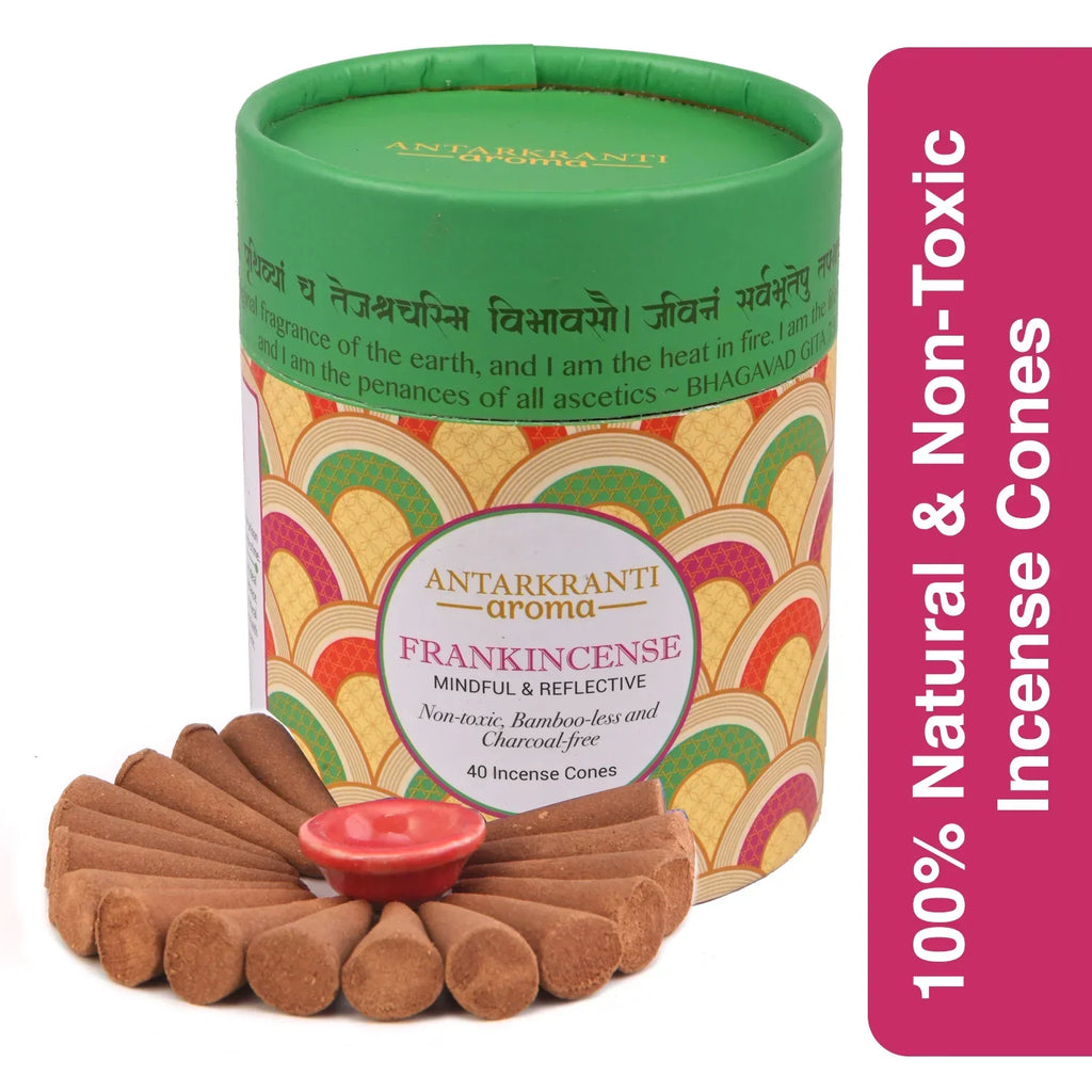 Sacred Life Yoga Incense Cone Franckincense
