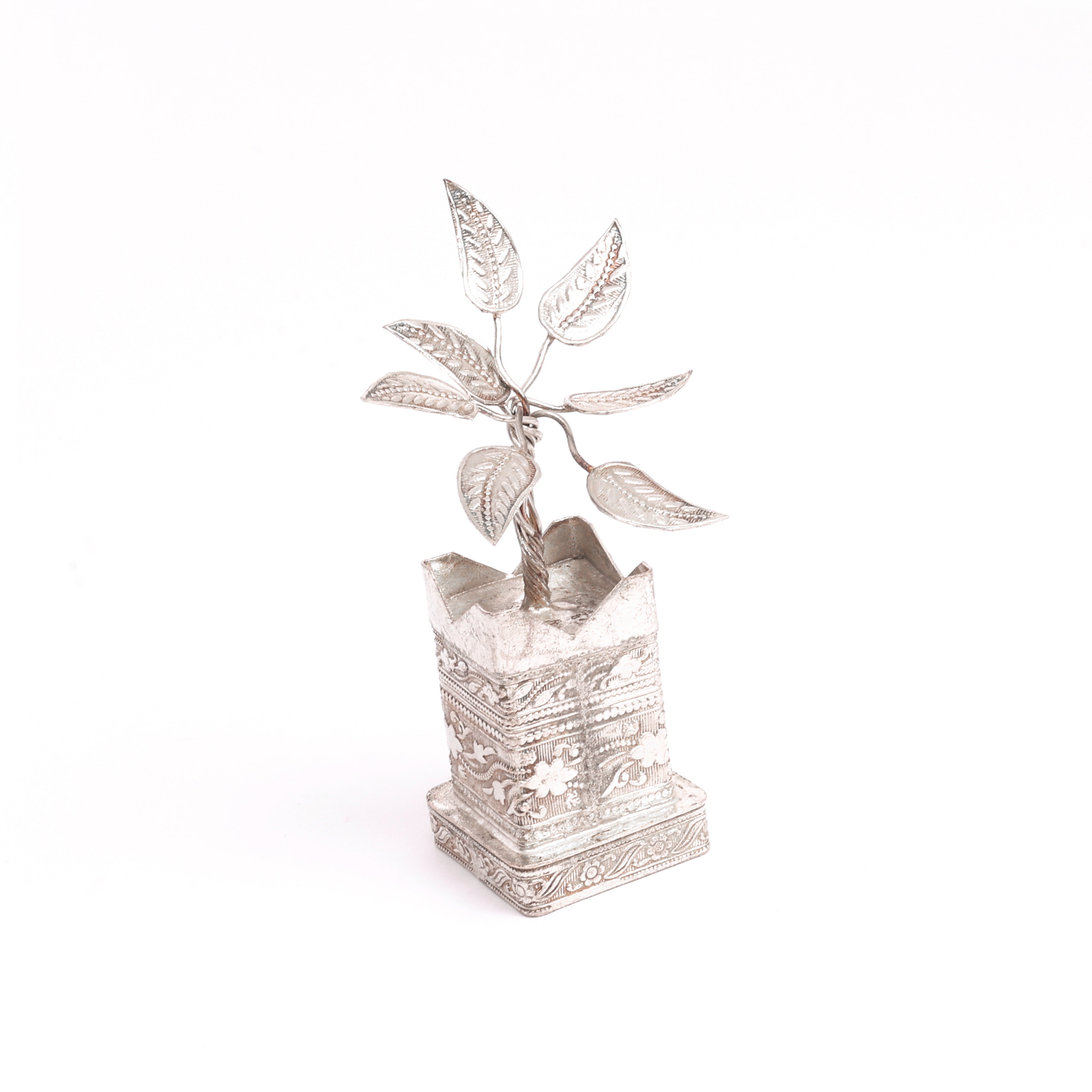 German Silver Tulsi Plant - Natriel