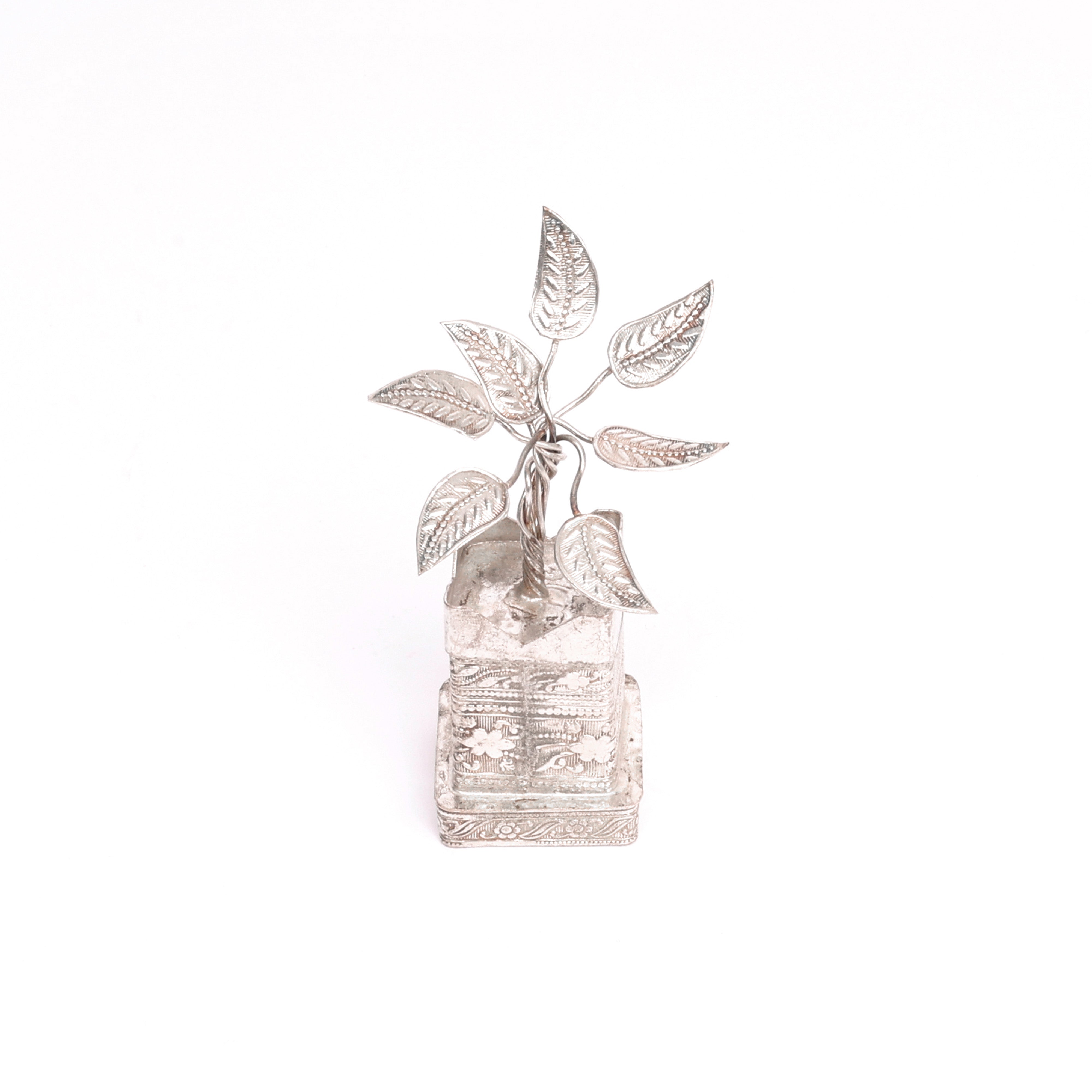 German Silver Tulsi Plant - Natriel