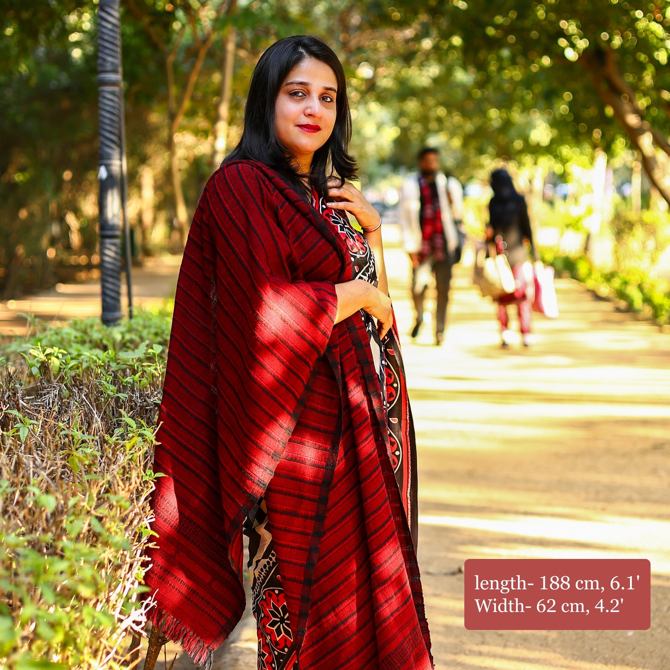 Handwoven Maroon and Black Kutchi Bhujodi Stole