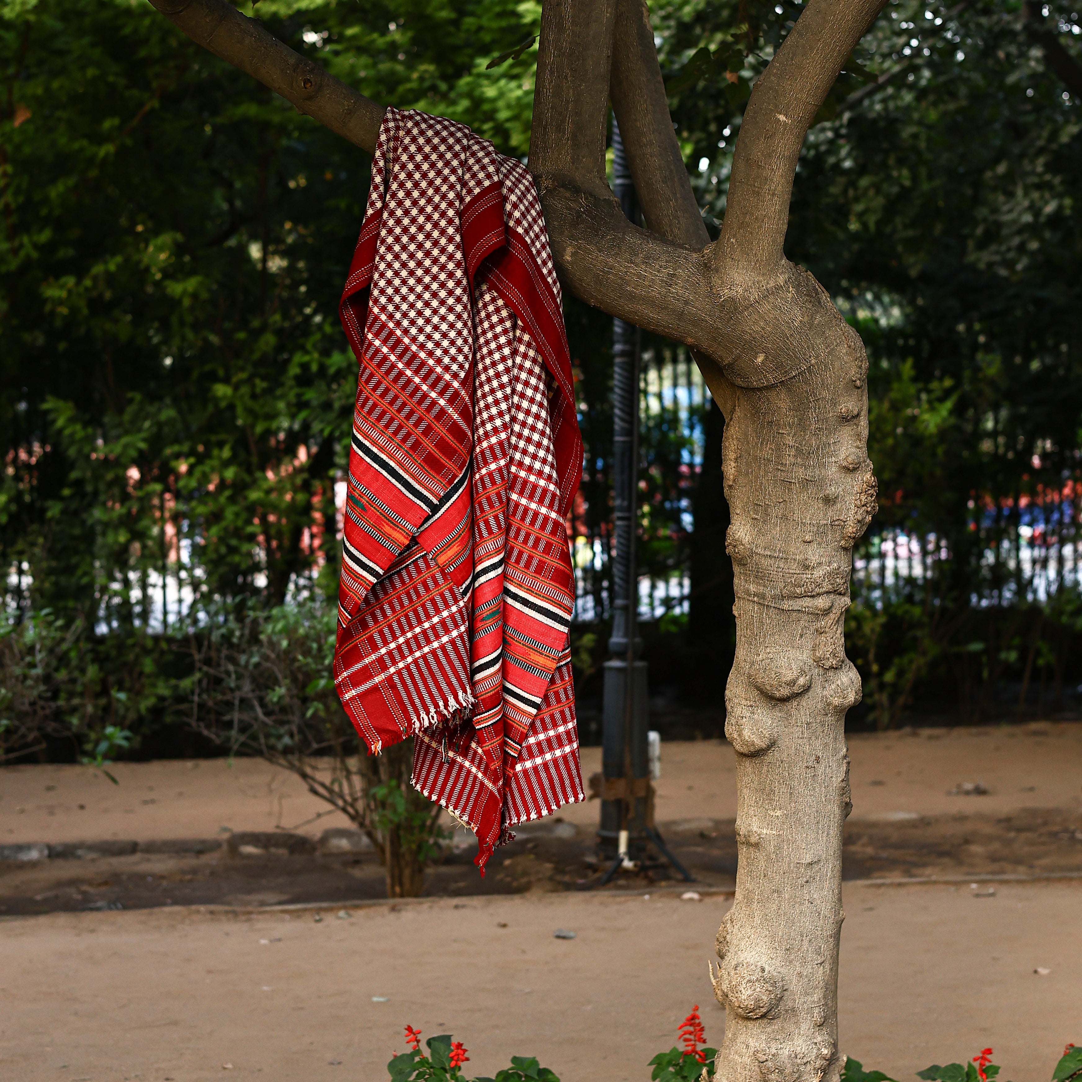 Handwoven Rajasthani Pattu Shawl—Red and Ivory