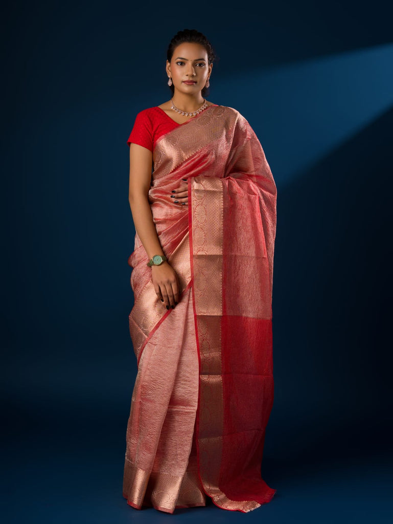 Women's Tissue Silk Banarasi Handloom Zari Border saree INA