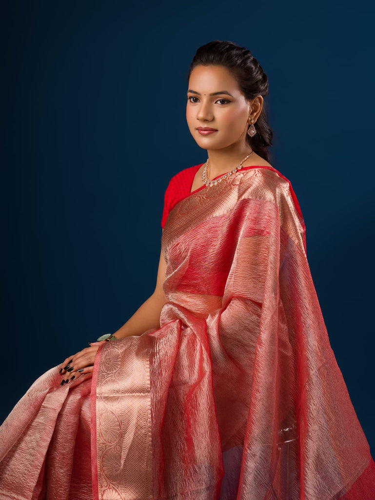 Women's Tissue Silk Banarasi Handloom Zari Border saree INA