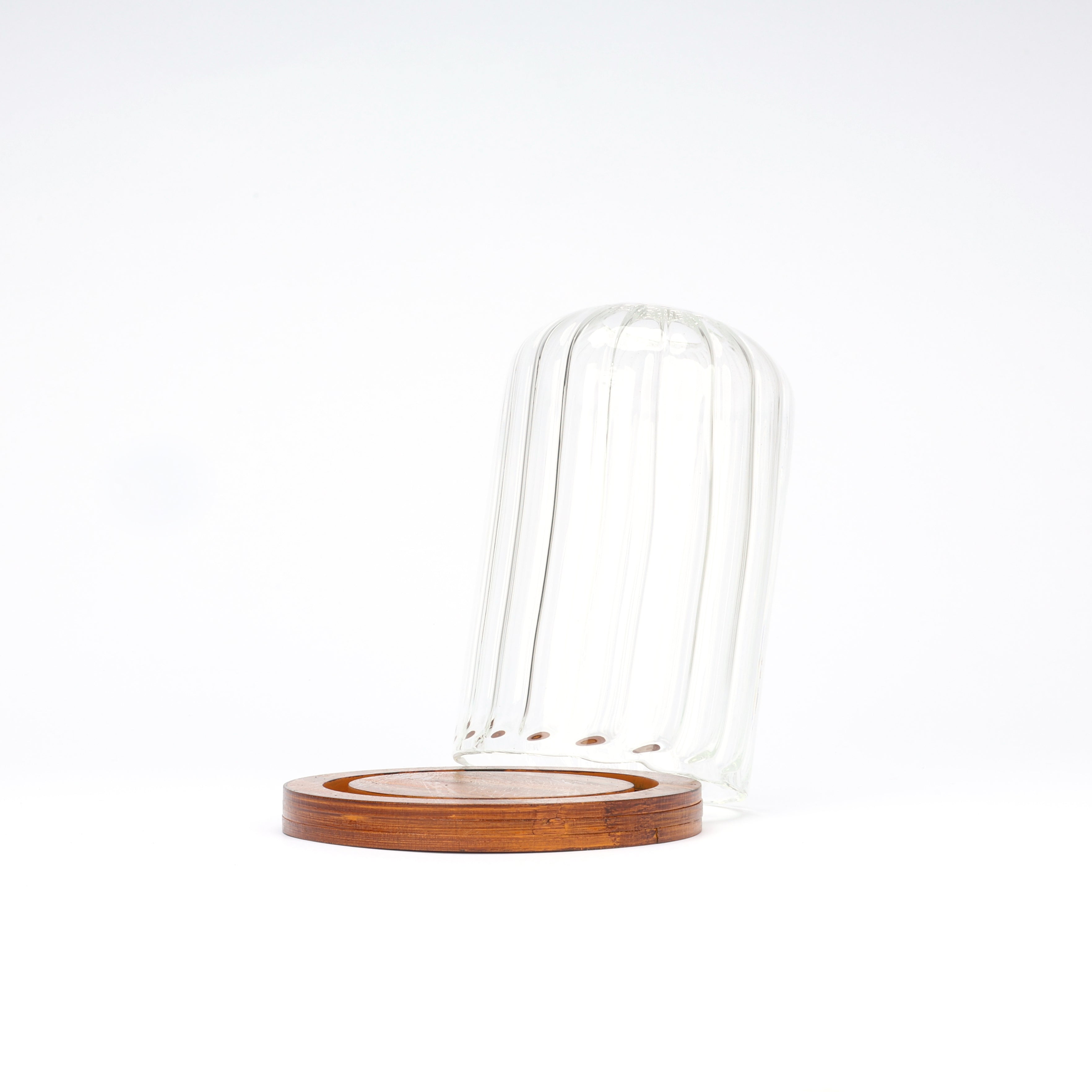 Decorative Glass Dome with Wooden Base - Natriel