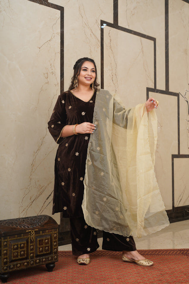 Women's Brown Embroidered Velvet Kurta Set - (Set Of 3) - Nangalia Ruchira