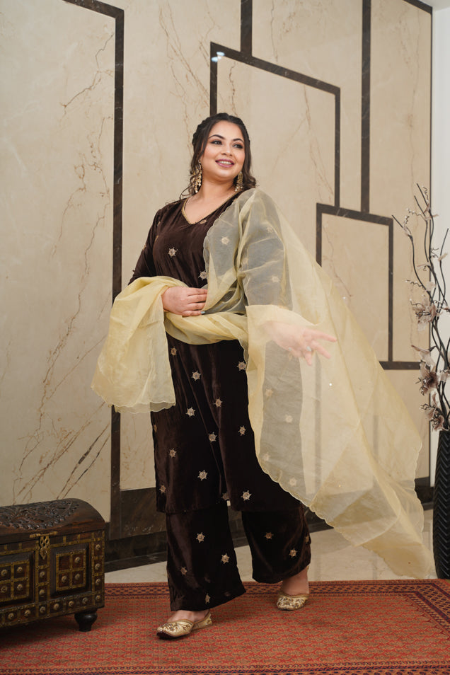 Women's Brown Embroidered Velvet Kurta Set - (Set Of 3) - Nangalia Ruchira