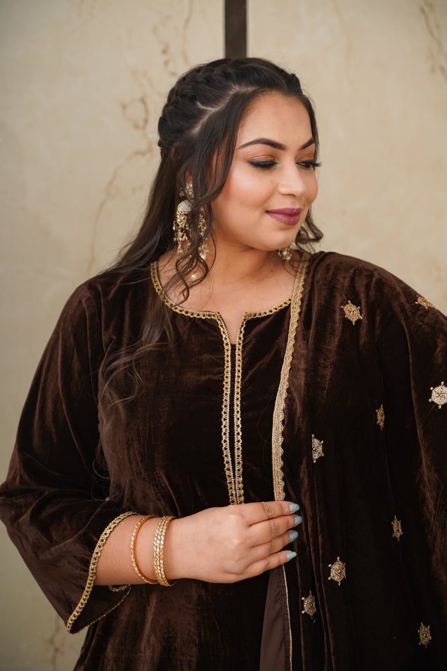 Women's Brown Velvet Embroidered Shawl - Nangalia Ruchira