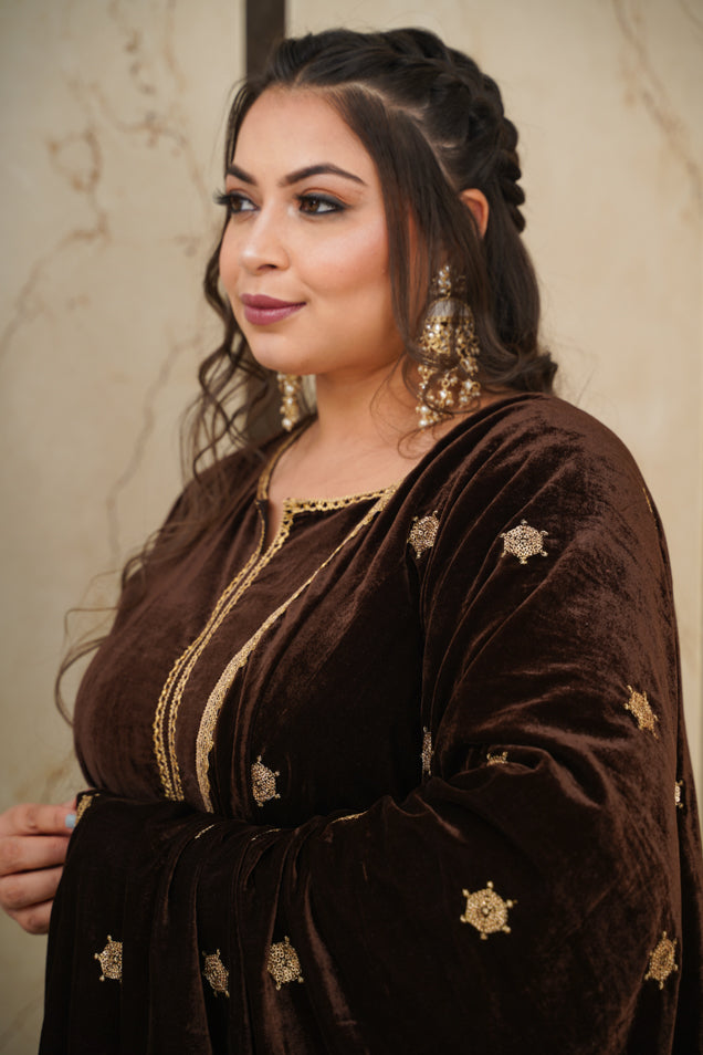 Women's Brown Velvet Embroidered Shawl - Nangalia Ruchira