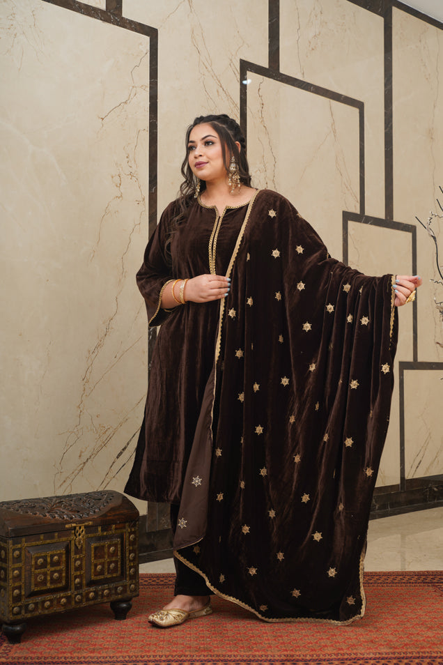 Women's Brown Velvet Embroidered Shawl - Nangalia Ruchira