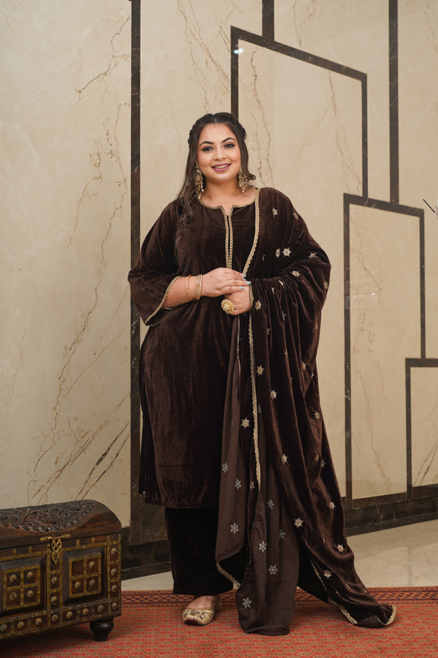 Women's Brown Velvet Embroidered Shawl - Nangalia Ruchira