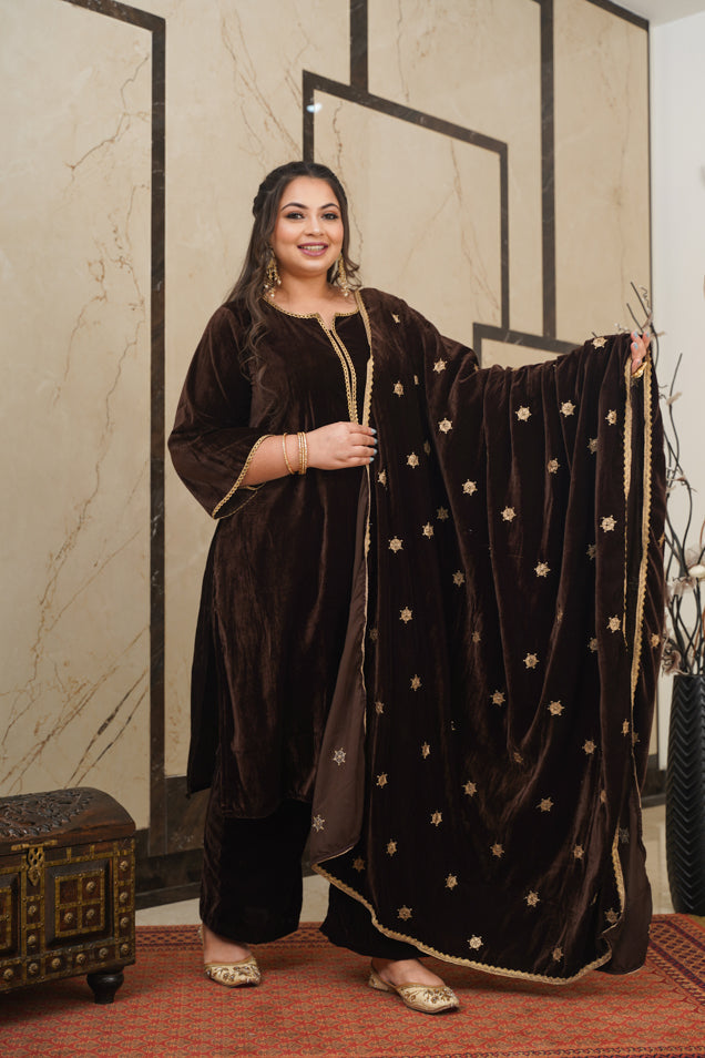 Women's Brown Velvet Embroidered Shawl - Nangalia Ruchira
