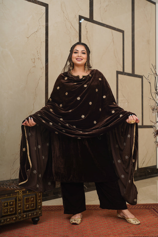 Women's Brown Velvet Embroidered Shawl - Nangalia Ruchira