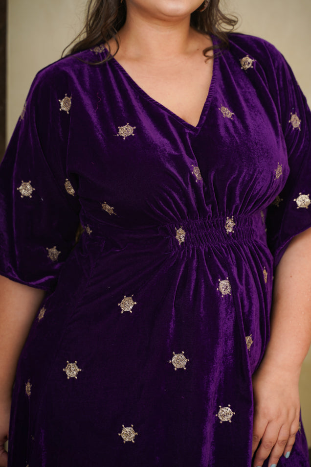 Women's Purple Velvet Embroidered Maxi - Nangalia Ruchira