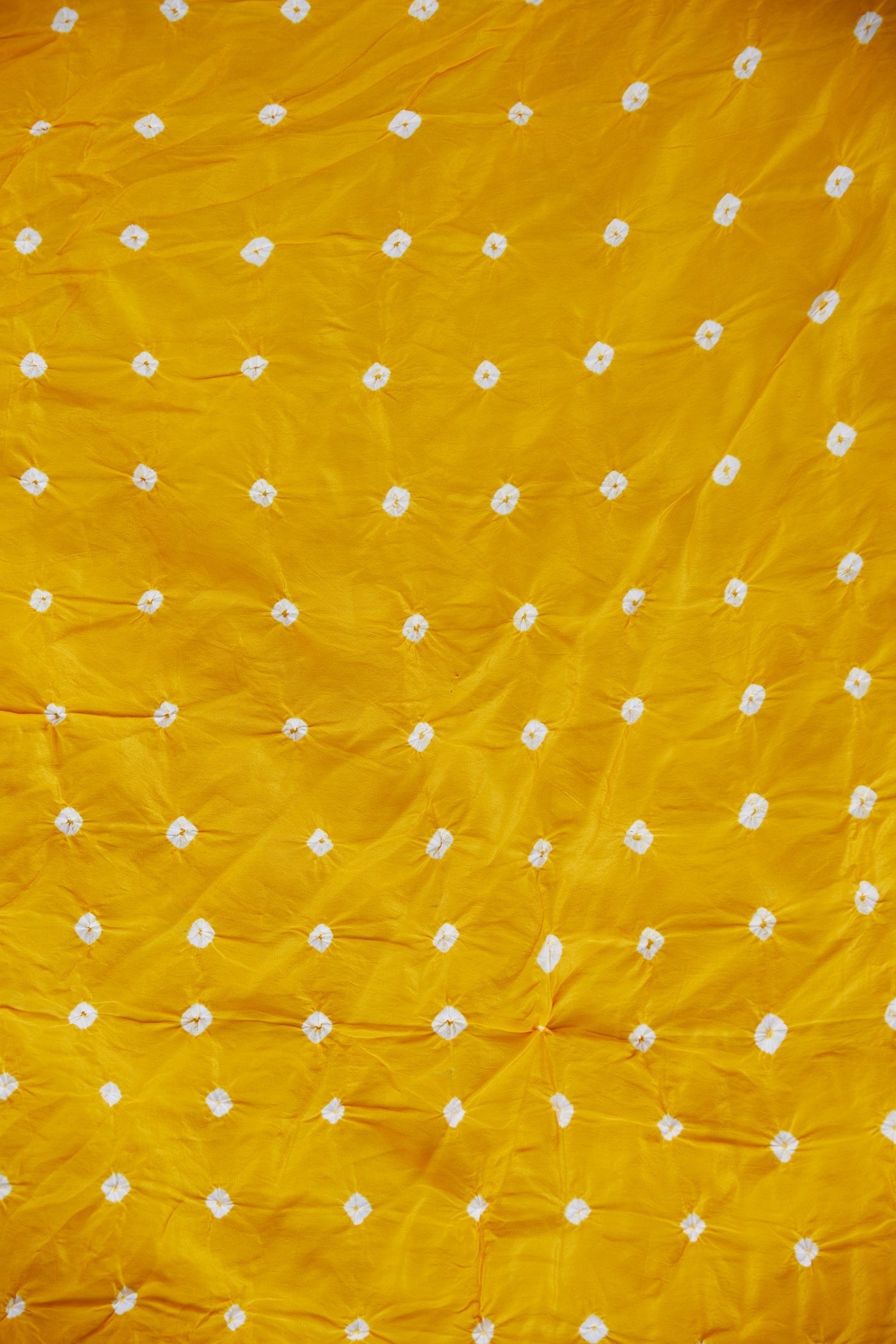 Women's Sunshine Organza Leheriya Saree - Nangalia Ruchira