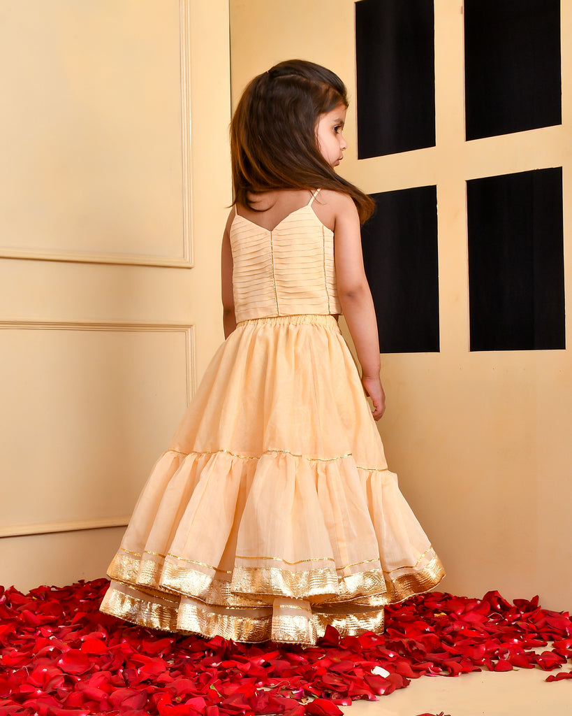 Girl's Beige top and Double Layered Lehenga Set
