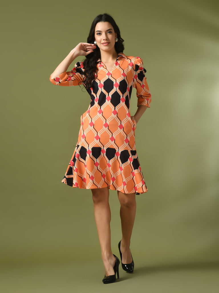 Women's  Multi Printed Shirt Collar Fit And Flare Party Dress